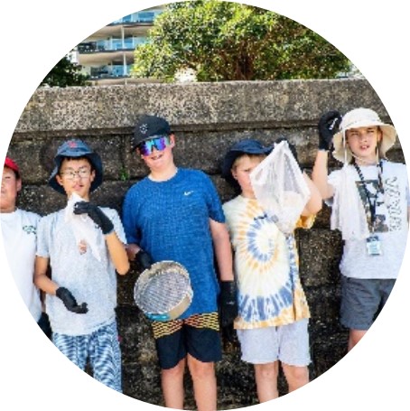 Environmental beach clean-ups & recycling workshops  Image