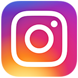 instagram button